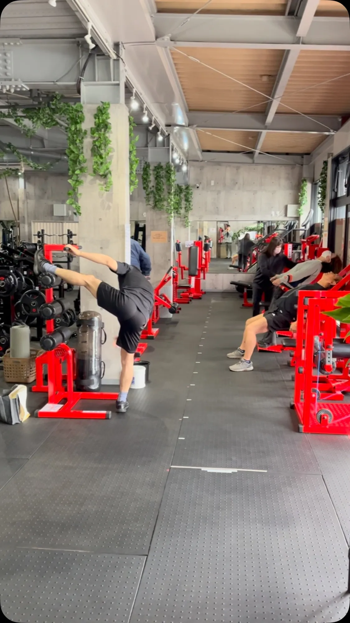 みんなのジムニーランドは、身体の調子を整えたい方から鍛えたい...